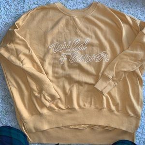 Aerie Oversized Sweatshirt